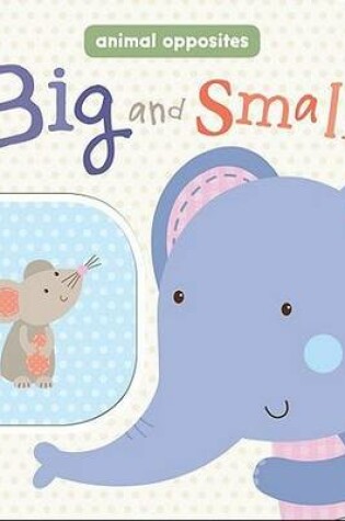 Cover of Big and Small