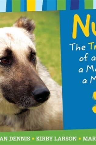 Cover of Nubs: The True Story