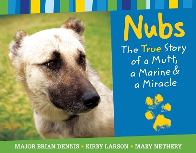 Book cover for Nubs: The True Story