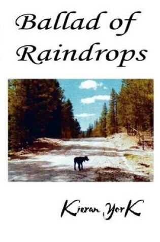 Cover of Ballad of Raindrops