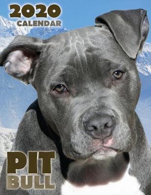 Cover of Pit Bull 2020 Calendar