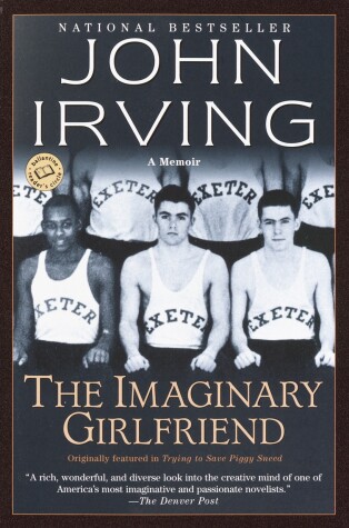 Book cover for The Imaginary Girlfriend