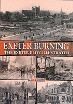 Book cover for Exeter Burning