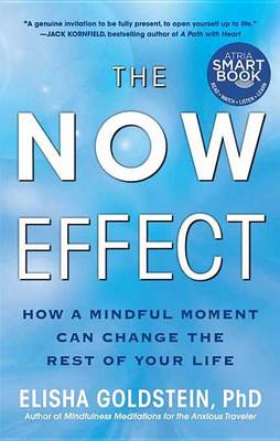 Book cover for The Now Effect