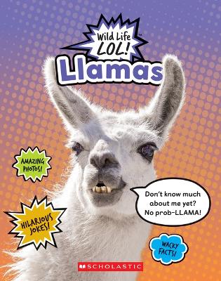 Book cover for Llamas