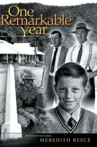 Cover of One Remarkable Year