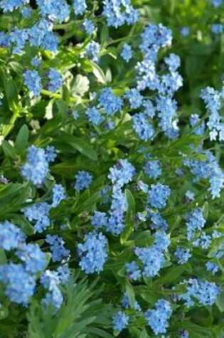 Cover of Springtime Forget Me Not Meadow Journal