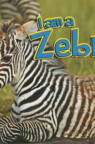 Cover of Zebra