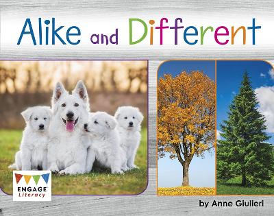 Cover of Alike and Different