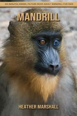 Cover of Mandrill