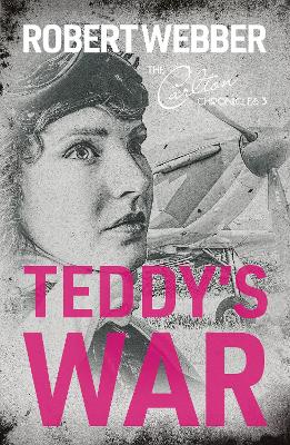 Book cover for Teddy's War