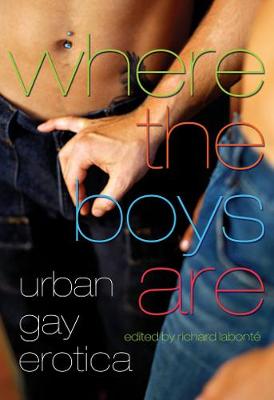 Book cover for Where the Boys are