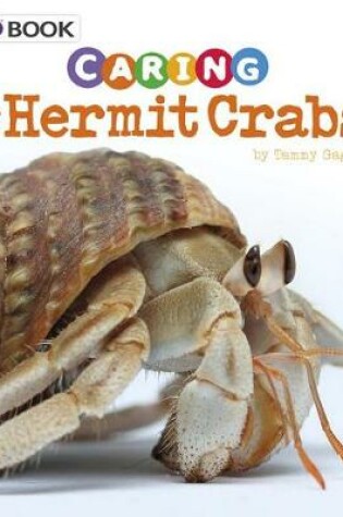 Cover of Caring for Hermit Crabs: a 4D Book (Expert Pet Care)