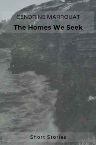 Cover of The Homes We Seek