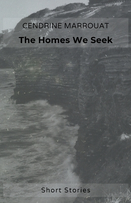 Book cover for The Homes We Seek