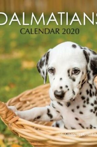 Cover of Dalmatians Calendar 2020