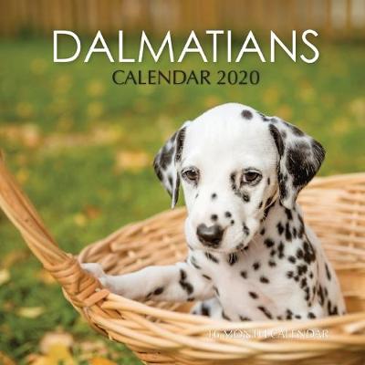 Book cover for Dalmatians Calendar 2020