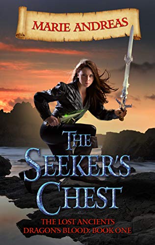 Book cover for The Seeker's Chest