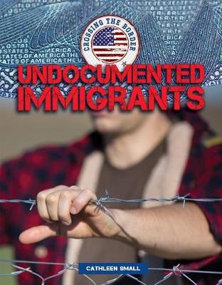 Cover of Undocumented Immigrants