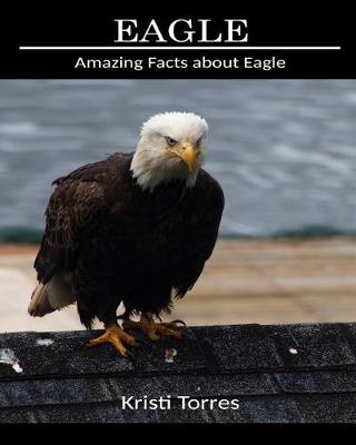 Book cover for Amazing Facts about Eagle