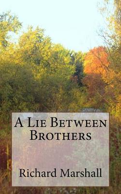 Book cover for A Lie Between Brothers