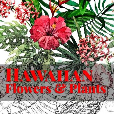 Book cover for Hawaiian Flowers & Plants