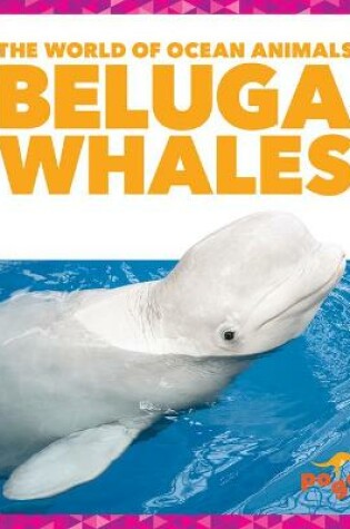 Cover of Beluga Whales