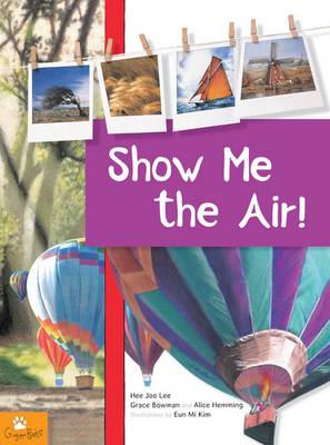 Book cover for Show Me the Air