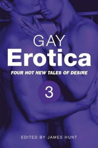 Cover of Gay Erotica, Volume 3