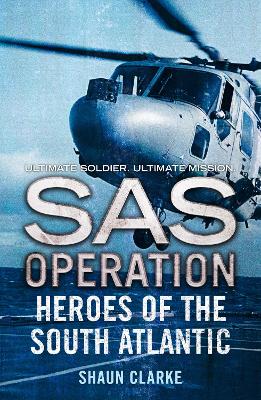 Cover of Heroes of the South Atlantic