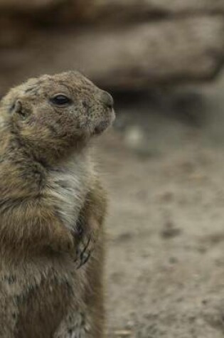 Cover of Prairie Dog on Guard Duty