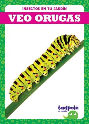 Book cover for Veo Orugas (I See Caterpillars)