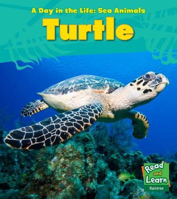 Book cover for Sea Turtle