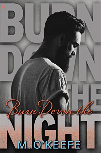 Book cover for Burn Down the Night