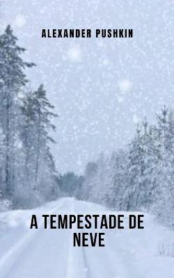 Book cover for A tempestade de neve