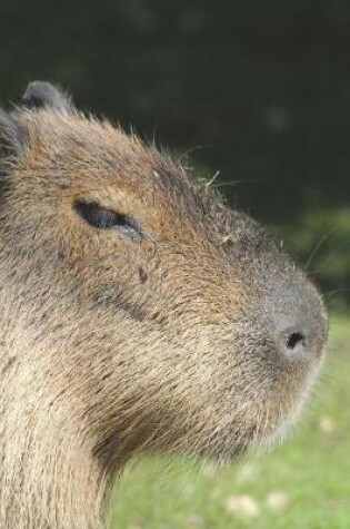 Cover of Capybara Profile for the World's Largest Living Rodent Journal