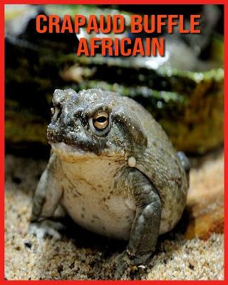 Book cover for Crapaud Buffle Africain