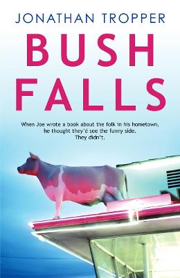 Book cover for Bush Falls