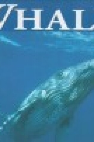 Cover of Whales