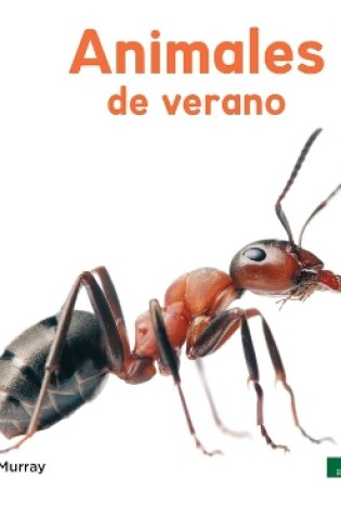 Cover of Animales de Verano