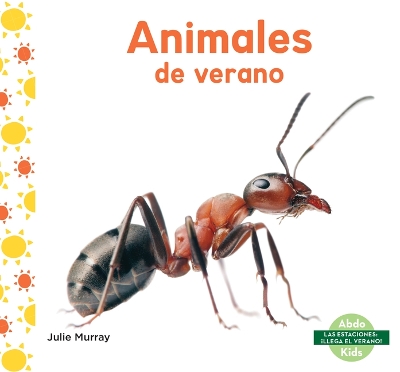Book cover for Animales de Verano (Summer Animals)