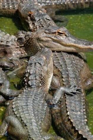 Cover of American Alligator Pileup, for the Love of Animals