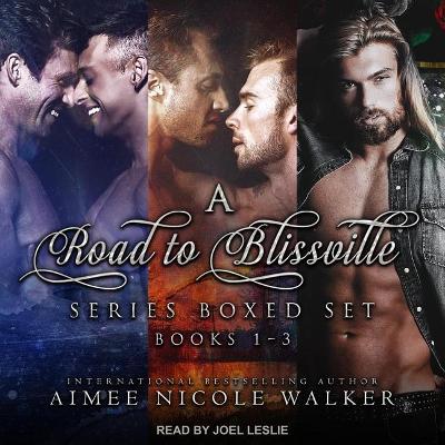 Book cover for Road to Blissville Series Boxed Set