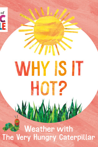 Cover of Why Is It Hot?