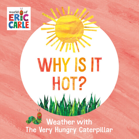 Book cover for Why Is It Hot?