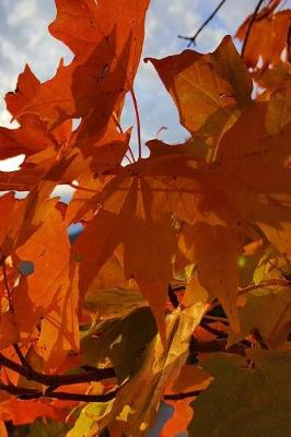 Cover of Fall Journal Orange Leaves Mountain Sunrise