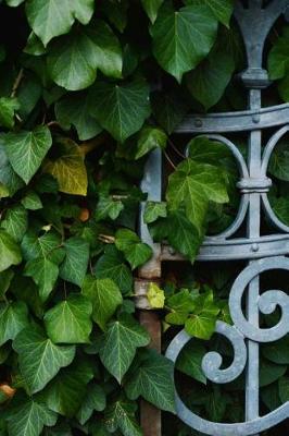 Book cover for Wrought Iron Fence and Ivy Journal