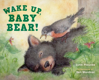 Book cover for Wake Up, Baby Bear!