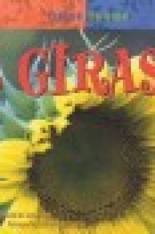 Cover of El Girasol (Sunflower)
