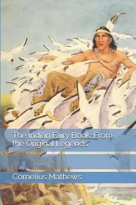 Book cover for The Indian Fairy Book